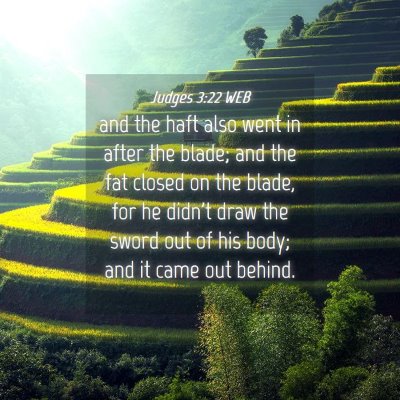 Picture 04 - Judges 3:22 WEB - and the haft also went in after the blade; and - Bible Verse Picture