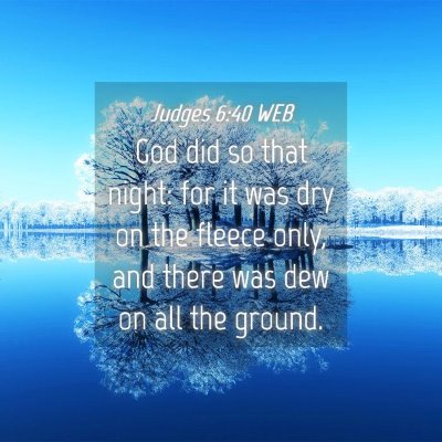 Picture 04 - Judges 6:40 WEB - God did so that night: for it was dry on the - Bible Verse Picture
