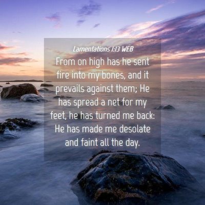 Picture 04 - Lamentations 1:13 WEB - From on high has he sent fire into my bones, and - Bible Verse Picture