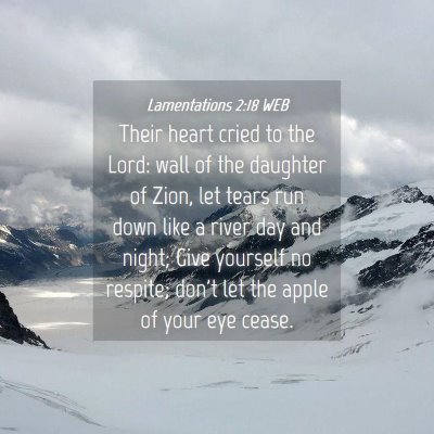 Picture 04 - Lamentations 2:18 WEB - Their heart cried to the Lord: wall of the - Bible Verse Picture