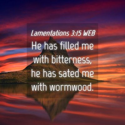 Picture 04 - Lamentations 3:15 WEB - He has filled me with bitterness, he has sated me - Bible Verse Picture
