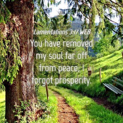 Picture 04 - Lamentations 3:17 WEB - You have removed my soul far off from peace; I - Bible Verse Picture