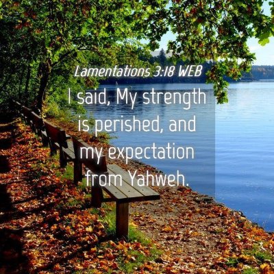 Picture 04 - Lamentations 3:18 WEB - I said, My strength is perished, and my - Bible Verse Picture