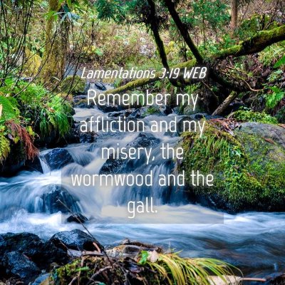 Picture 04 - Lamentations 3:19 WEB - Remember my affliction and my misery, the - Bible Verse Picture