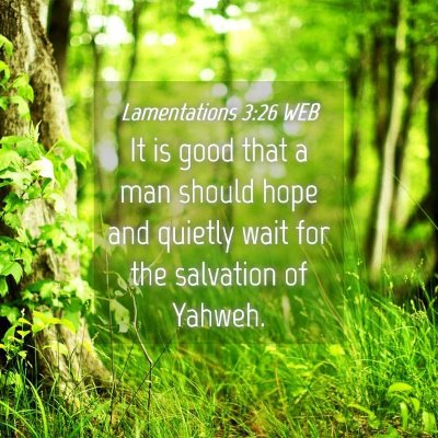Picture 04 - Lamentations 3:26 WEB - It is good that a man should hope and quietly - Bible Verse Picture