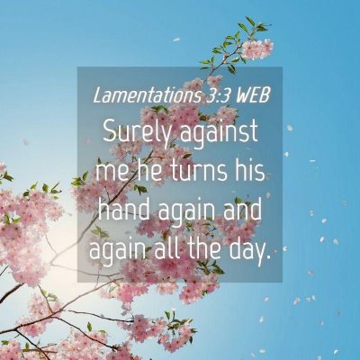 Picture 04 - Lamentations 3:3 WEB - Surely against me he turns his hand again and - Bible Verse Picture
