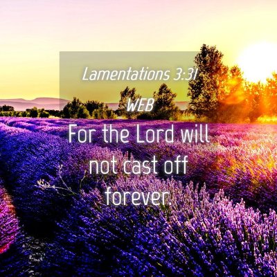 Picture 04 - Lamentations 3:31 WEB - For the Lord will not cast off - Bible Verse Picture