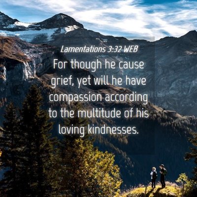 Picture 04 - Lamentations 3:32 WEB - For though he cause grief, yet will he have - Bible Verse Picture