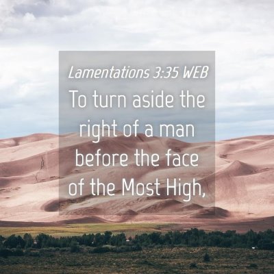 Picture 04 - Lamentations 3:35 WEB - To turn aside the right of a man before the face - Bible Verse Picture