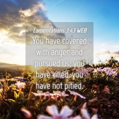 Picture 04 - Lamentations 3:43 WEB - You have covered with anger and pursued us; you - Bible Verse Picture