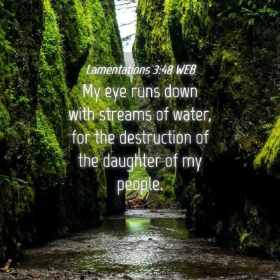 Picture 04 - Lamentations 3:48 WEB - My eye runs down with streams of water, for the - Bible Verse Picture
