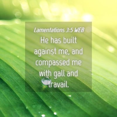 Picture 04 - Lamentations 3:5 WEB - He has built against me, and compassed me with - Bible Verse Picture