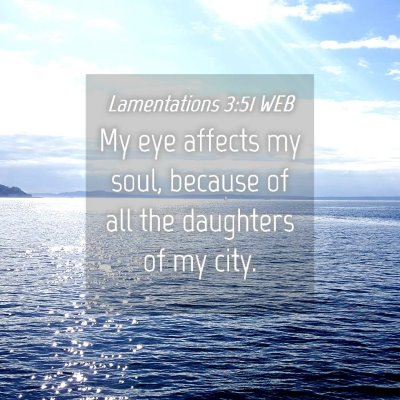 Picture 04 - Lamentations 3:51 WEB - My eye affects my soul, because of all the - Bible Verse Picture