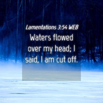 Picture 04 - Lamentations 3:54 WEB - Waters flowed over my head; I said, I am cut - Bible Verse Picture