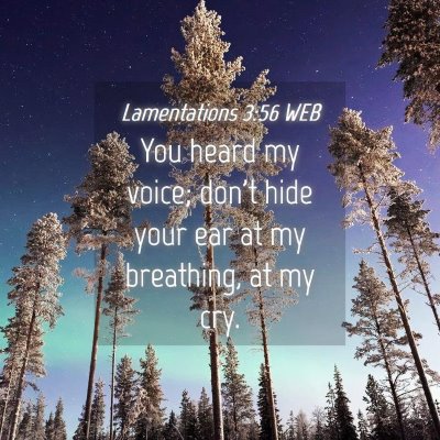 Picture 04 - Lamentations 3:56 WEB - You heard my voice; don't hide your ear at my - Bible Verse Picture