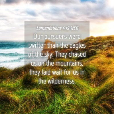 Picture 04 - Lamentations 4:19 WEB - Our pursuers were swifter than the eagles of the - Bible Verse Picture