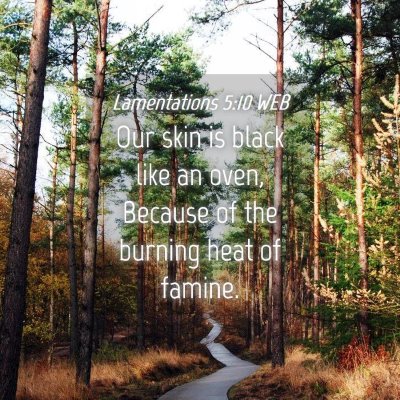 Picture 04 - Lamentations 5:10 WEB - Our skin is black like an oven, Because of the - Bible Verse Picture