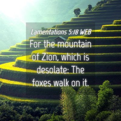 Picture 04 - Lamentations 5:18 WEB - For the mountain of Zion, which is desolate: The - Bible Verse Picture