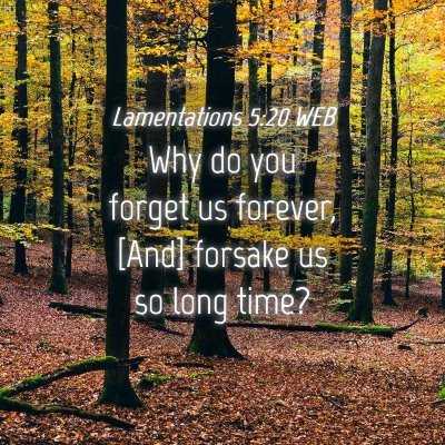 Picture 04 - Lamentations 5:20 WEB - Why do you forget us forever, [And] forsake us so - Bible Verse Picture