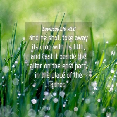 Picture 04 - Leviticus 1:16 WEB - and he shall take away its crop with its filth, - Bible Verse Picture