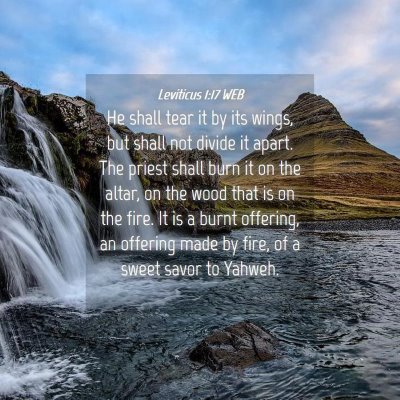 Picture 04 - Leviticus 1:17 WEB - He shall tear it by its wings, but shall not - Bible Verse Picture