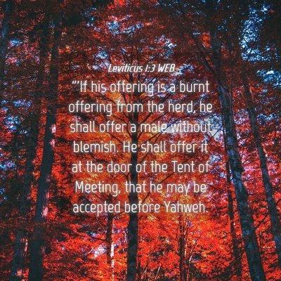 Picture 04 - Leviticus 1:3 WEB - 