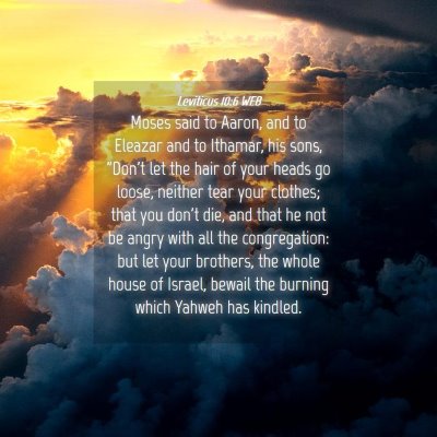 Picture 04 - Leviticus 10:6 WEB - Moses said to Aaron, and to Eleazar and to - Bible Verse Picture