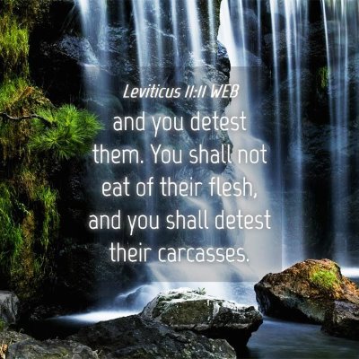 Picture 04 - Leviticus 11:11 WEB - and you detest them. You shall not eat of their - Bible Verse Picture