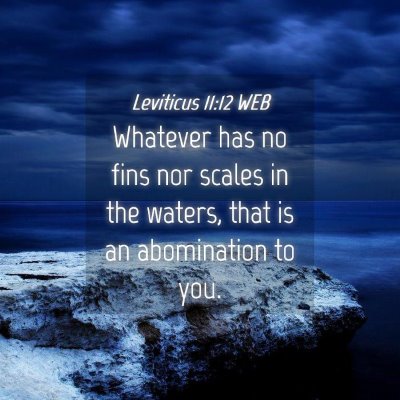 Picture 04 - Leviticus 11:12 WEB - Whatever has no fins nor scales in the waters, - Bible Verse Picture