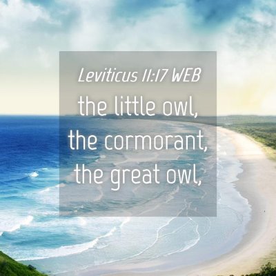 Picture 04 - Leviticus 11:17 WEB - the little owl, the cormorant, the great - Bible Verse Picture