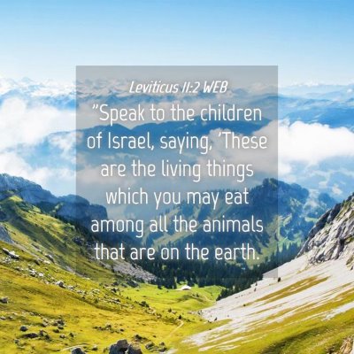 Picture 04 - Leviticus 11:2 WEB - 