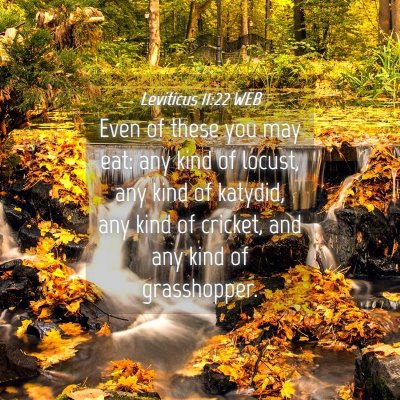 Picture 04 - Leviticus 11:22 WEB - Even of these you may eat: any kind of locust, - Bible Verse Picture