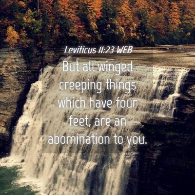 Picture 04 - Leviticus 11:23 WEB - But all winged creeping things which have four - Bible Verse Picture