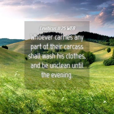 Picture 04 - Leviticus 11:25 WEB - Whoever carries any part of their carcass shall - Bible Verse Picture