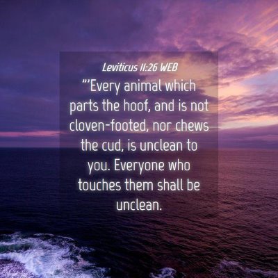 Picture 04 - Leviticus 11:26 WEB - 