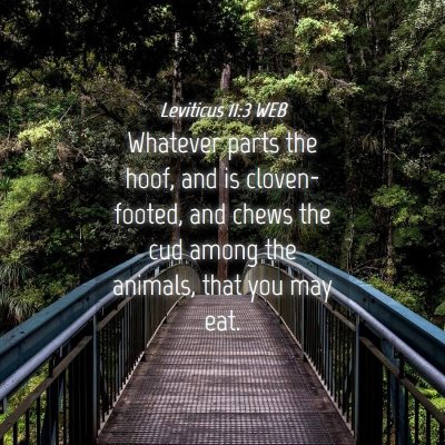 Picture 04 - Leviticus 11:3 WEB - Whatever parts the hoof, and is cloven-footed, - Bible Verse Picture