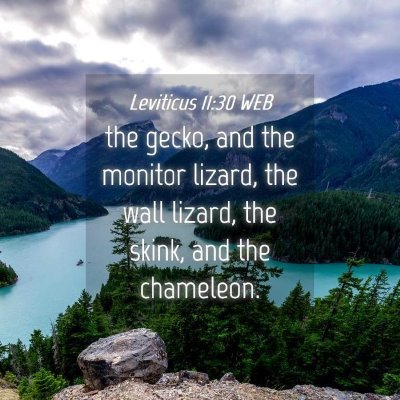 Picture 04 - Leviticus 11:30 WEB - the gecko, and the monitor lizard, the wall - Bible Verse Picture
