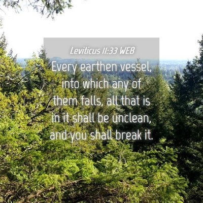 Picture 04 - Leviticus 11:33 WEB - Every earthen vessel, into which any of them - Bible Verse Picture