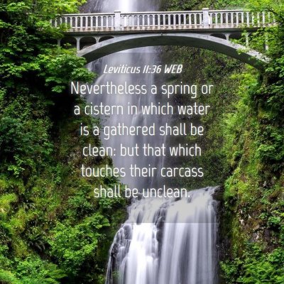Picture 04 - Leviticus 11:36 WEB - Nevertheless a spring or a cistern in which water - Bible Verse Picture