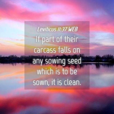 Picture 04 - Leviticus 11:37 WEB - If part of their carcass falls on any sowing seed - Bible Verse Picture