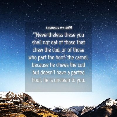 Picture 04 - Leviticus 11:4 WEB - 
