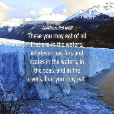 Picture 04 - Leviticus 11:9 WEB - These you may eat of all that are in the waters: - Bible Verse Picture