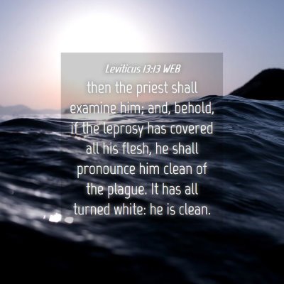 Picture 04 - Leviticus 13:13 WEB - then the priest shall examine him; and, behold, - Bible Verse Picture