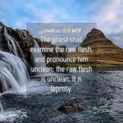 Picture 04 - Leviticus 13:15 WEB - The priest shall examine the raw flesh, and - Bible Verse Picture