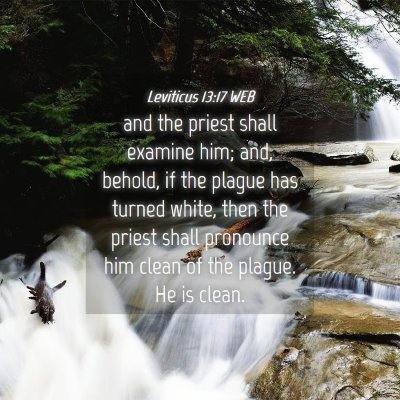 Picture 04 - Leviticus 13:17 WEB - and the priest shall examine him; and, behold, if - Bible Verse Picture