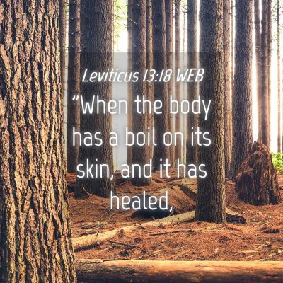 Picture 04 - Leviticus 13:18 WEB - 