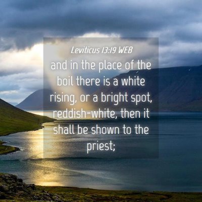 Picture 04 - Leviticus 13:19 WEB - and in the place of the boil there is a white - Bible Verse Picture