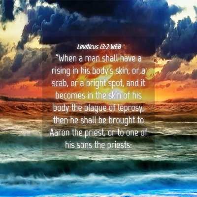 Picture 04 - Leviticus 13:2 WEB - 