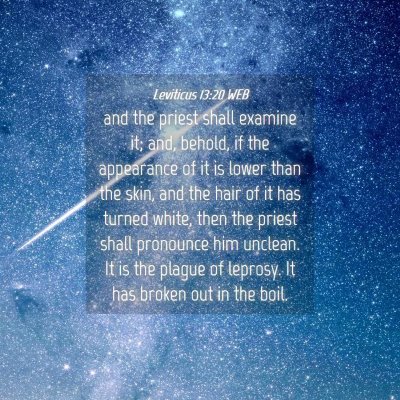 Picture 04 - Leviticus 13:20 WEB - and the priest shall examine it; and, behold, if - Bible Verse Picture