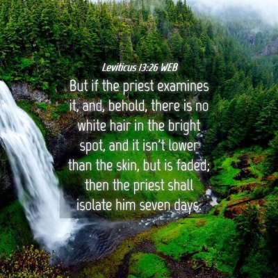 Picture 04 - Leviticus 13:26 WEB - But if the priest examines it, and, behold, there - Bible Verse Picture